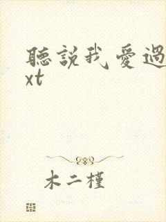 听说我爱过你txt