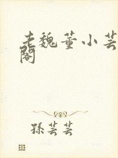 老魏董小芸趣笔阁