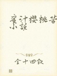 蜜汁樱桃苦咖啡小说封面