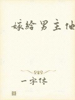 嫁给男主他爸爸封面