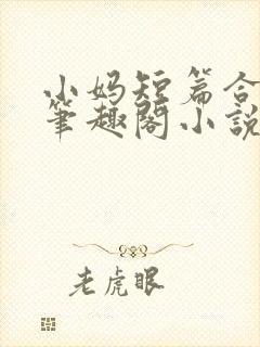 小妈短篇合集_笔趣阁小说