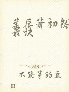 叶辰萧初然更新最快封面