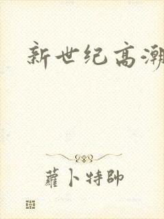 新世纪高潮战队