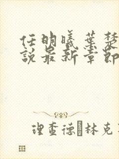 任明曦叶楚木小说最新章节阅读地址