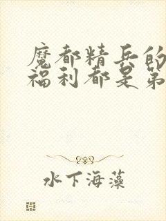 魔都精兵的奴隶福利都是第几集出现