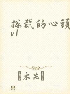 总裁的心头宝1v1