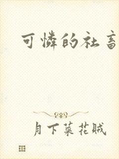 可怜的社畜小说