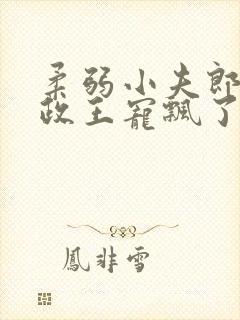 柔弱小夫郎被摄政王宠飘了小说免费阅读