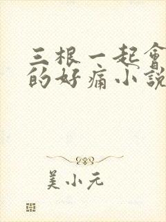 三根一起会坏掉的好痛小说封面