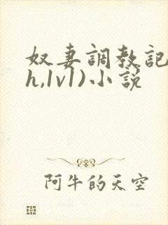 奴妻调教记(高h,1v1)小说封面