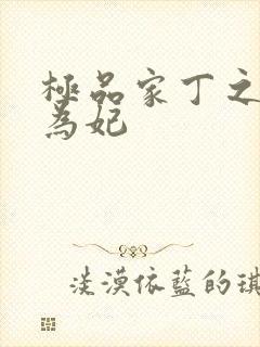 极品家丁之册母为妃