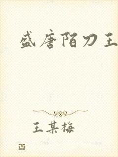 盛唐陌刀王封面