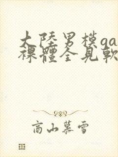 大陆男模gay裸体全见软件