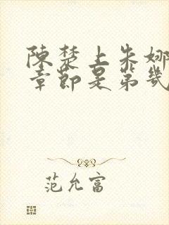 陈楚上朱娜妈的章节是第几章