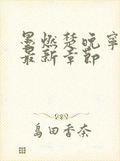 墨燃楚晚宁小说最新章节