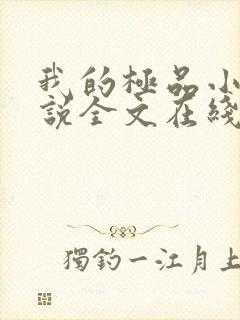 我的极品小姨小说全文在线阅读封面