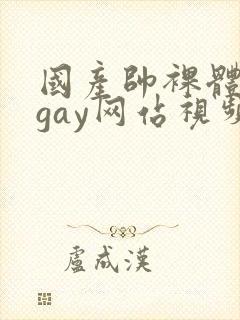 国产帅裸体男模gay网站视频
