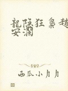 龙隐狂枭赵青林安澜