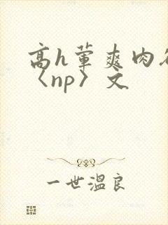 高h荤爽肉欲文〈np〉文