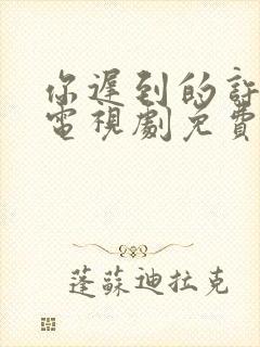 你迟到的许多年电视剧免费观看