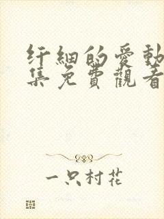 纤细的爱动漫全集免费观看 完整版封面