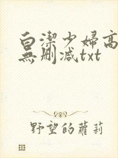 白洁少妇高校长无删减txt