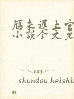 雁未迟上官穿越小说全文免费阅读