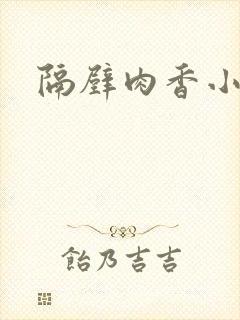 隔壁肉香小说