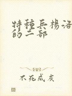 特种兵杨洛续集的二部