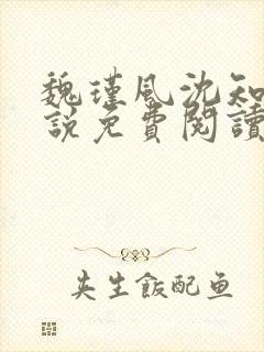 魏瑾风沈知玉小说免费阅读最新章节