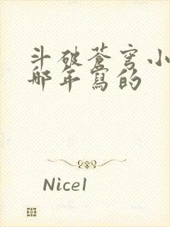 斗破苍穹小说是哪年写的封面