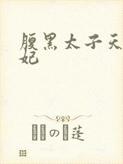 腹黑太子天降萌妃封面