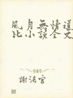 风月无情道比卡比小说全文免费阅读笔趣阁封面