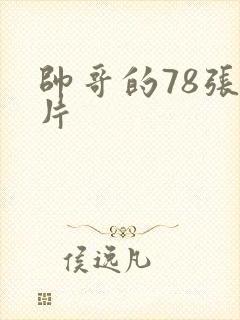 帅哥的78张图片