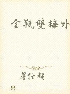 金瓶双梅外传封面