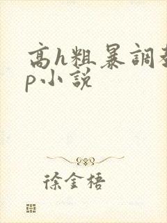 高h粗暴调教np小说封面