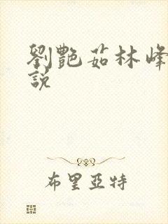 刘艳茹林峰的小说