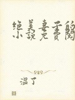 绝美妻子的秘密小说免费阅读