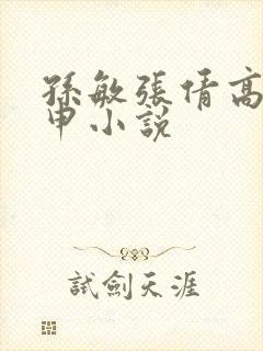 孙敏张倩高义王申小说