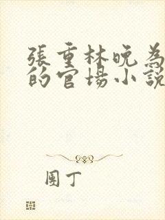 张重林晚为主角的官场小说封面