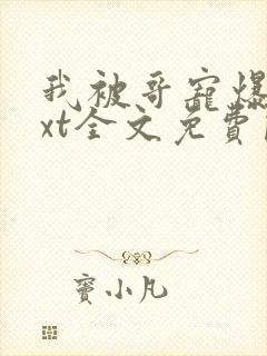 我被哥宠爆了txt全文免费阅读笔趣阁封面