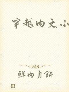 穿越肉文小说