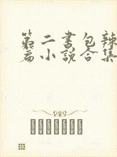 第二书包辣网短篇小说合集封面