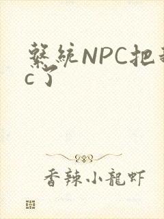 系统NPC把我c了