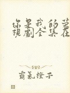 你是我的荣耀电视剧全集在线观看免费播放