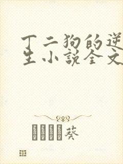 丁二狗的逆袭人生小说全文阅读