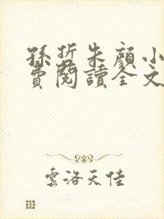 孙哲朱颜小说免费阅读全文最新章节