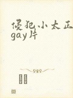 侵犯小太正裸体gay片