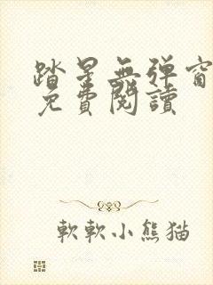 踏星无弹窗全文免费阅读封面