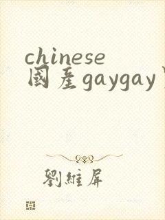 chinese国产gaygay男男网站